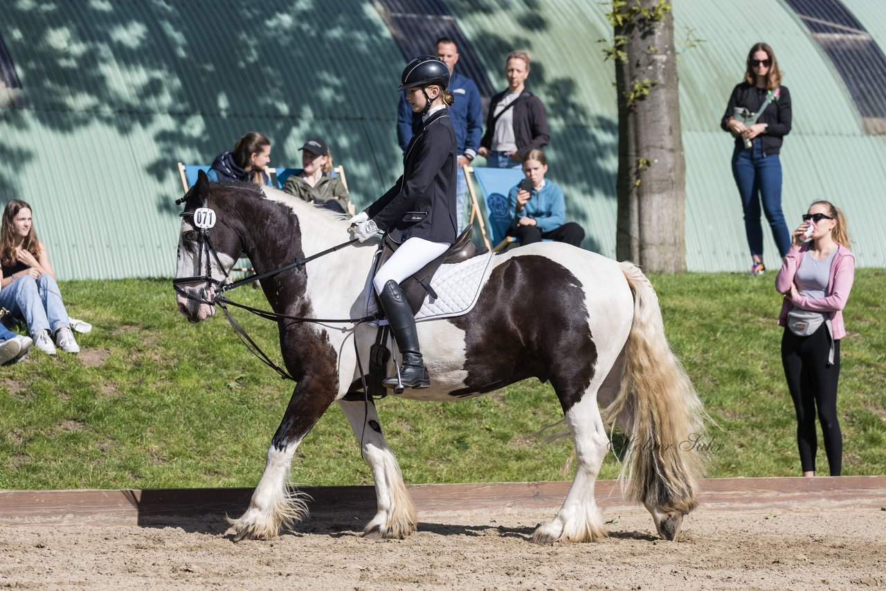 Bild 48 - Pony Akademie Turnier
